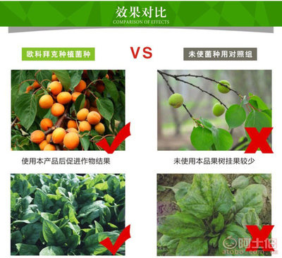 【种植EM菌种价格种植EM菌批发种植EM菌厂家