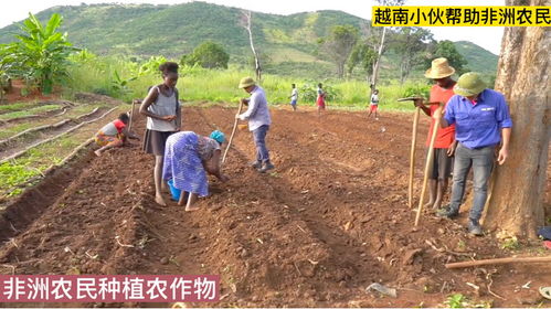 越南小伙帮助非洲农民种植农作物