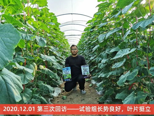 历时4个月,海南8大种植基地4大作物最新种植实验报告