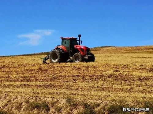 数字化时代的农作物信息化育种 实施步骤与核心要点